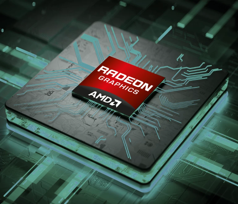 AMD Radeon® RX  Özel Grafik Kartı
